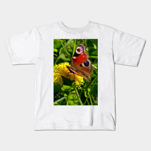 Peacock Butterfly Kids T-Shirt by Violaman